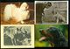 Delcampe - Beau Lot De 60 Cartes Postales Semi Modernes Gr. Format De Fantaisie Chiens Chien   Mooi Lot Van 60 Postk. Fantasie Hond - 5 - 99 Cartes