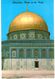 Delcampe - CPA N°21139 - LOT DE 12 CARTES DE JERUSALEM - MOSQUEE D' OMAR ESPLANADE DU TEMPLE EGLISE SAINTE ANNE ET SEMINAIRE - Palestina