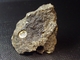 Delcampe - Lévyne-Ca In Basalt ( 3 X 2 X 1 Cm ) - Beech Creek Quarry - Grant Co. - Oregon USA - Minéraux