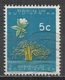 South Africa 1966. Scott #293 (U) Baobab Tree - Used Stamps