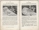 SINGER NÄHMASCHINE N° 15 ( Central Spule )    -   ** ANWEISUNG FÜR FAMILIEN GEBRAUCH ** Juni 1924 - Técnico