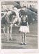 Lot De 3 PHOTOS De La Fête Des GRATTONS à Châteaumeillant (Cher) 1952 - Otros & Sin Clasificación