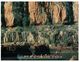 (400) Australia - NT - Katherine Gorge - Katherine