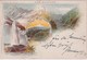 NOVELLE-ZELANDE 1898 ENTIER POSTAL CARTE DE AUCKLAND POUR KIEL - Postal Stationery