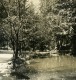 Italie Milan Jardin Public Lac Ancienne Photo Stereo NPG 1900 - Stereoscoop