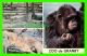 GRANBY, QUÉBEC - CHIMPAZÉ, GUÉPARO, CHEVREUIL - JARDIN ZOOLOGIQUE DE GRANBY - CIRCULÉE EM 1966 - - Granby