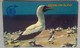 Ascension Islands 2CASA Booby Bird 5 Pounds - Ascension