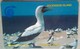Ascension Island 3CASA Booby Bird  5 Pounds - Islas Ascensión