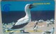 Ascension Island 3CASA Booby Bird  5 Pounds - Isole Ascensione