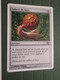 CARTE DE JEU MAGIC THE GATHERING (en Français) Age Tendre Et SPHERE DE BOIS - Other & Unclassified