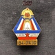 Badge (Pin) ZN006847 - Military (Army) Insignia Border Patrol Carina Yugoslavia #84-7439 - Militaria