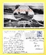 LEIGH ON SEA GREETINGS " 1958 " - Southend, Westcliff & Leigh