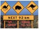 (800) Australia -  Nullabor Road Sign - Kangaroo - Camels - Wombat - Outback