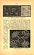 Moderne Spitzen/ Druck, Entnommen Aus Kalender / 1907 - Packages
