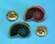 Delcampe - 2 PIN'S //   ** 2 AMMONITES ** . (Argine) - Lots