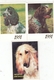 CALENDARIC. 1992 THE PERFECT DOGS. RUSSIA. 3 PIECES *** - Formato Piccolo : 1991-00