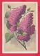 230503 / 1958 - 25 Kop. / Miner / - Flowers Fleurs Blumen - Lilac By I. Romanov  ,  Stationery Russia - 1950-59