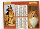 Delcampe - Lot 5 Grand Calendrier P.T.T. Facteur 1986-1992- 1980- 1986- 2001 - Chien Loup Berger Allemand Cheval Chat Shetland - Tamaño Grande : 1981-90