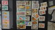 Delcampe - Super Carton Dont N° 257A**, 321 ** + Bons Timbres France ** + Albums + Revues Philatéliques.Voir Commentaires !!! - Vrac (min 1000 Timbres)