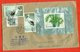 China 1994. Registered Envelope Is Really Past Mail. - Covers & Documents