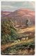 CPA - Carte Postale - Royaume Uni - Near Storrington - Sussex - 1907 (CP2230) - Other & Unclassified