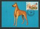 Romana  1990 , Dog German , Maximum Card - Napoca 04.10.1992 - Dogs