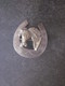 BROCHE ANCIENNE CHEVAL FER A CHEVAL PORTE BONHEUR? GRAVE LINE VOIR PHOTOS - Equitation