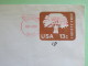 USA 1979 Stationery Cover Tree 13 C From Tucson To South Africa - University Of Arizona - 1961-80