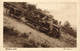 Military, World War I., Artillery Transporter Half Tracked Truck On A Hill, Old Postcard - War 1914-18