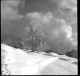 Delcampe - Lot De 20 Négatifs Transport D'un Avion Au Markstein Haut-Rhin Vallée De Thann Novembre 1949 Transports Koenig - Autres & Non Classés