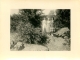 PHOTO ORIGINALE  FORET DE FONTAINEBLEAU 1952   FORMAT  10.50 X 8 CM - Lieux