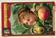 0174 Fruits Et Têtes D'enfants - LIEBIG Nr 174 Complete Set Rare,  6 Litho Chromo Cards, C1875, Children Heads - Liebig