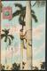 °°° 10949 - CUBA - CLIMBING THE ROYAL PALM - TREPANDO A UNA PALMA - 1912 With Stamps °°° - Cuba