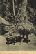 Bismarck Archipelago, PNG, New Britain, Native Papua Dancer (1910s) Postcard - Papua New Guinea