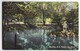 Canada, Halifax Nova Scotia, Public Gardens View, Pond Lake, Antique Unused C1910s Vintage Postcard - Other & Unclassified