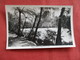 Pukrkura Park  New Plymouth New Zealand ---------Postcard Size  Blank Back Photo-------  Ref 2916 - New Zealand