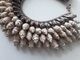 VINTAGE GROS COLLIER POLYNÉSIEN ? EN COQUILLAGES  32CM X 32CM - Etnica