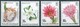 1981 Turks E Caicos Cactus Fiori Flowers Blumen Fleurs MNH** Ye138 - Cactus