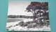 17	CARTE DE LA CHARENTE MARITIME	N° DE CASIER 	203	DETAIL RECTO VERSO DE LA CARTE AVEC LES 2   PHOTOS	CARTE DE 150X105 - Autres & Non Classés