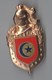 INSIGNE 11° LEGION DE GENDARMERIE GARDE REPUBLICAINE TUNISIE - Police