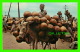 HAITI - CALABASHES OR GOURDS SELLER - EDITION PAUL COUBA - No 9C-K825-2  - - Haïti