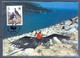 G366- Ascension Island Maxi Cards 1990 Adlerfregattvogel Frigate Birds. WWF. W.W.F. - Maximum Cards