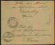 1916, 20 Kop Blue/red On Registered Letter From SCHADRINSK 10.5.16  To Red Coss In Denmark With Russian Censor And Ekate - Sonstige & Ohne Zuordnung