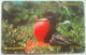 15CATA Frigate Bird EC$60 - Antigua And Barbuda