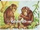 Image - Les Singes - 2 - Animals