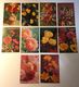 Fiore Flower - Auguri - Lotto 10 Cartoline - 5 - 99 Cartoline