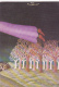 Lot De 2 Cartes Illustrées Par SLOBODAN 1974 (Femme En Robe Rose Volant Au Dessus D'une Forêt Sans Feuille, Dédicasse - Slobodan