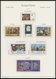 Delcampe - EUROPA UNION **, Komplette Postfrische Sammlung Gemeinschaftsausgaben Von 1956-77 In 2 Leuchtturm Falzlosalben, Dazu Nat - Altri & Non Classificati
