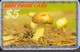 MUSHROOM SET OF 16 PHONE CARDS - Lebensmittel