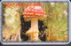 MUSHROOM SET OF 16 PHONE CARDS - Food